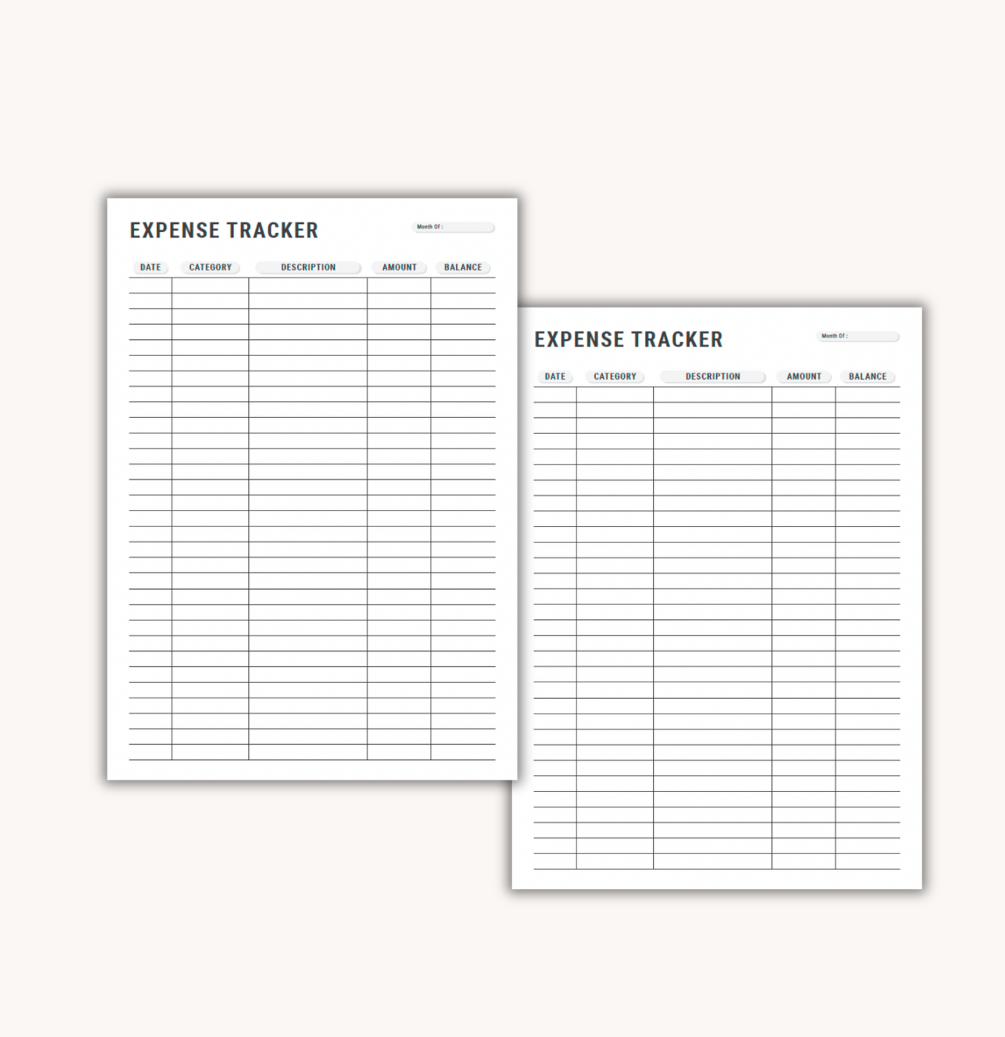 Expense Tracker Add-On