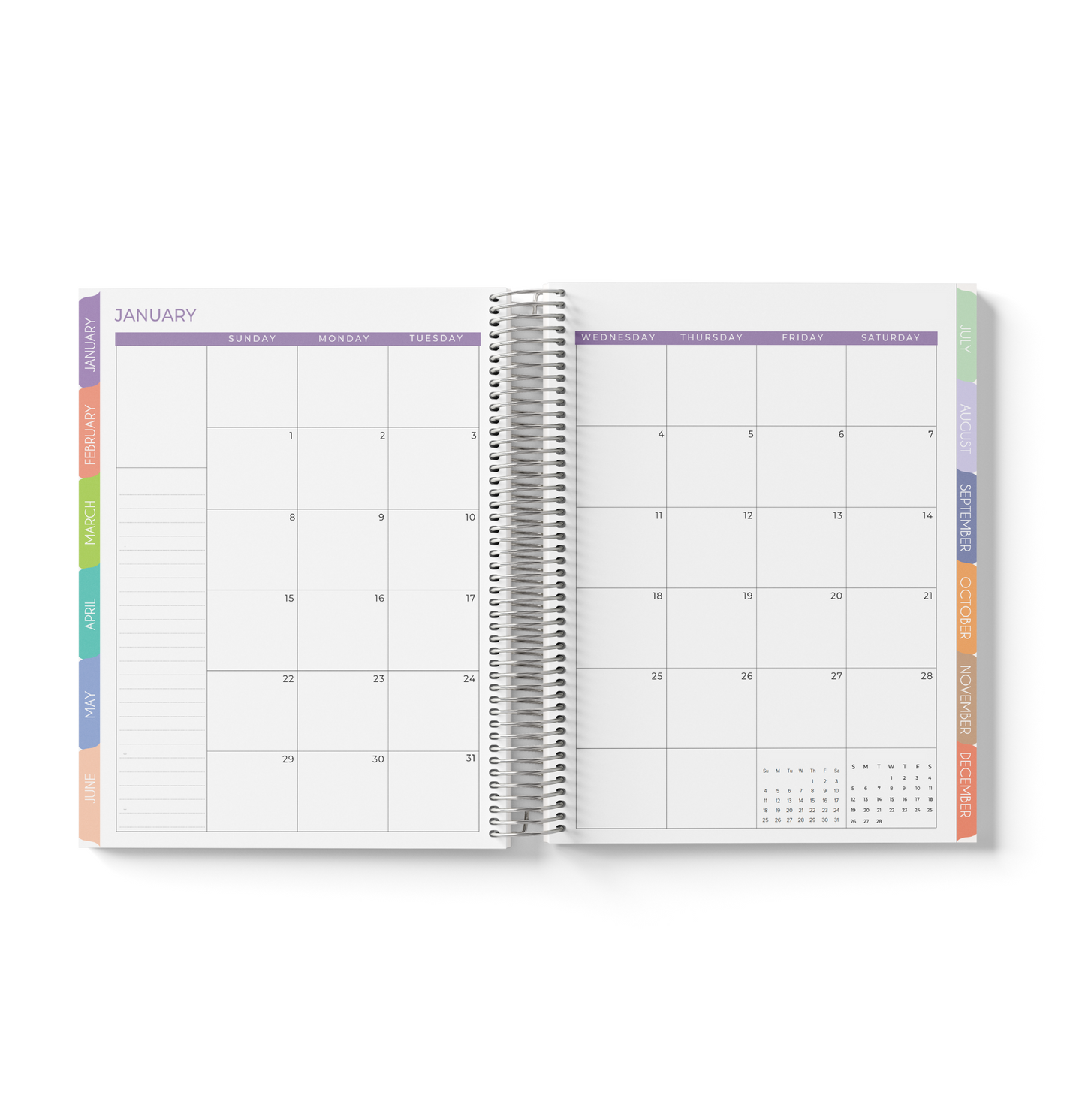 Sea Shells Monthly Planner
