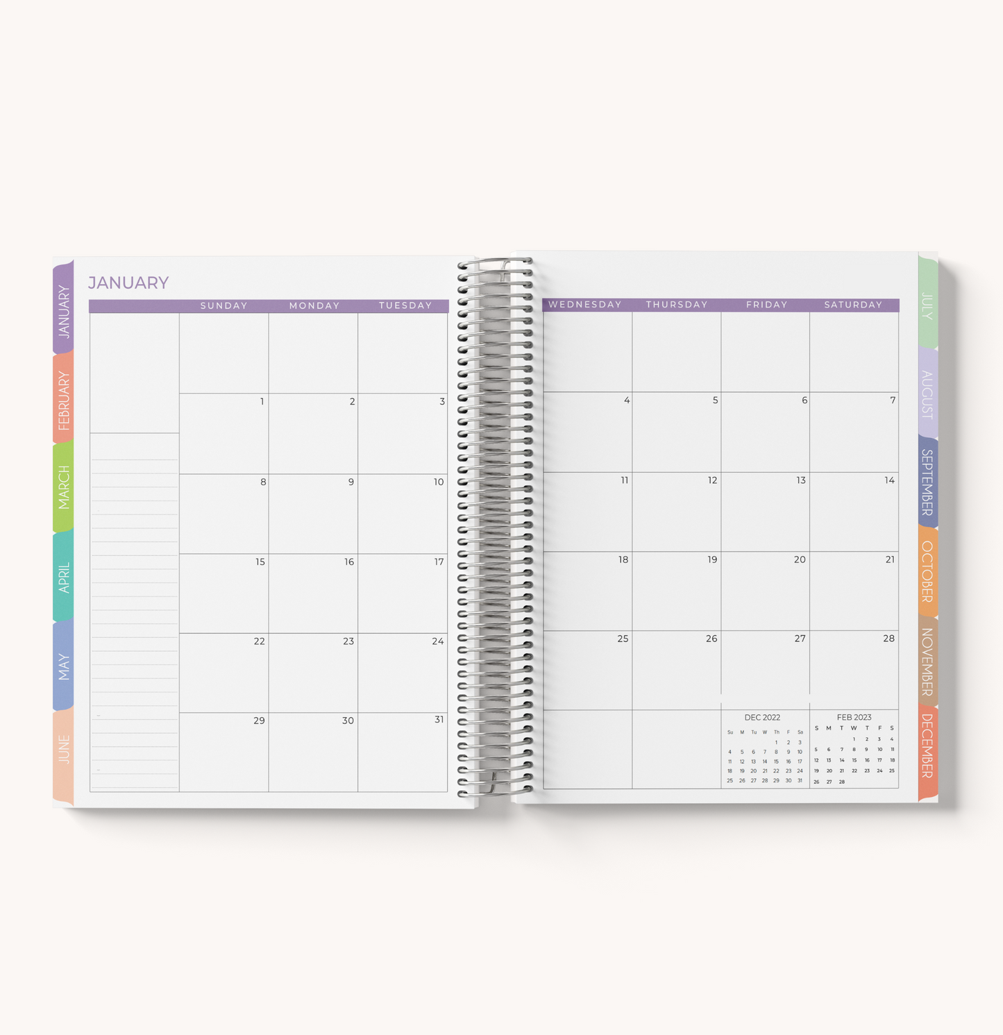 Pastel Palms Monthly Planner
